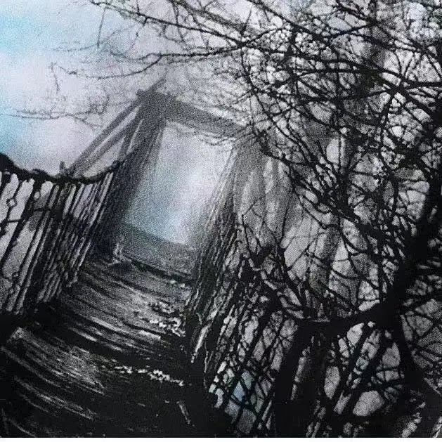 "Echoes Over BEHOSMQ 2Piece Short Set - THE CLASSICS #carrollclassics